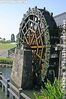 IMG_5741.jpg