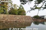 mt228-20180104-4988.jpg