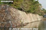 mt230-20180104-4999.jpg