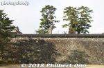 mt238-20180104-5008.jpg