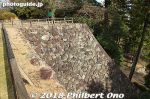 mt262-20180104-5629.jpg