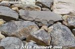 mt283-20180104-5608.jpg
