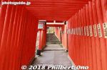 Filename=tu511-20180103-4188.jpg
Filesize=29KiB
Dimensions=500x333
Date added=Feb 15, 2018 tu511-20180103-4188.jpg