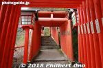 tu513-20180103-4191.jpg