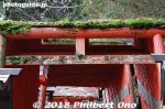 Filename=tu514-20180103-4199.jpg
Filesize=37KiB
Dimensions=500x333
Date added=Feb 15, 2018 tu514-20180103-4199.jpg