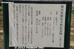 Filename=af318b-20120511_6991.jpg
Filesize=54KiB
Dimensions=800x533
Date added=May 12, 2012 af318b-20120511_6991.jpg