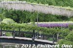 Filename=af330-20120511_7696.jpg
Filesize=33KiB
Dimensions=400x267
Date added=May 12, 2012 af330-20120511_7696.jpg