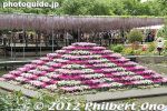 af371-20120511_7165.jpg