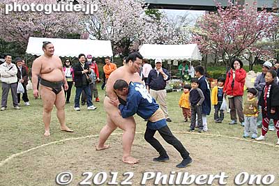 This thin man challenged the sumotori.
Keywords: Tokyo Adachi-ku Toshi Nogyo koen Park goshiki sakura cherry blossoms matsuri festival flowers sumo wrestlers children kids