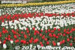 gs157-20120416_1907.jpg