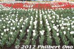 gs159-20120416_1865.jpg