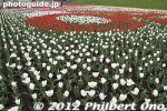 gs160-20120416_1892.jpg