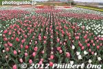 gs163-20120416_1945.jpg