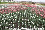 gs164-20120416_1943.jpg