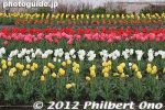 gs167-20120416_1990.jpg