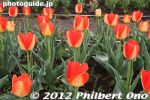gs170-20120416_1888.jpg