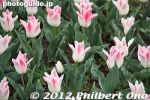 gs171-20120416_1917.jpg