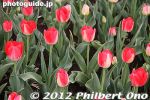 gs175-20120416_1921.jpg