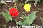 gs185-20120416_1877.jpg