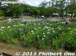 Filename=as303-P1000984.jpg
Filesize=40KiB
Dimensions=400x300
Date added=Jun 14, 2013 as303-P1000984.jpg