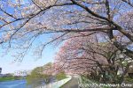 am219-20230322_0697as.jpg