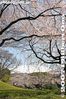 044-IMG_1894.jpg