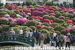 027-IMG_1742.jpg