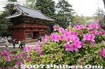 037-IMG_1104.jpg