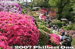 053-IMG_1179.jpg