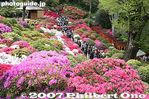 059-IMG_1200.jpg