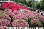 072-IMG_1234.jpg