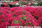 078-IMG_1243.jpg