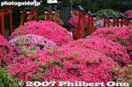 086-IMG_1314.jpg
