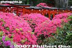 087-IMG_1308.jpg