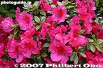101-IMG_1378.jpg