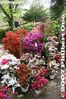 113-IMG_1763.jpg