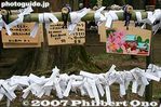 148-IMG_1760.jpg
