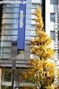 042-IMG_1342.jpg