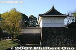 im121-IMG_3006.jpg