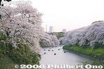 im253-IMG_7429.jpg