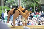 Filename=ya283-20230417_6330.jpg
Filesize=43KiB
Dimensions=600x400
Date added=May 04, 2023 ya283-20230417_6330.jpg