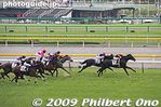 tr090-20090614_0908.jpg