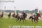 tr094-20090614_1015.jpg