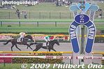 tr101-20090614_1281.jpg