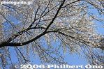 008-IMG_9243.jpg
