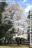 017-IMG_9267.jpg