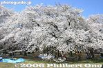 024-IMG_9283.jpg