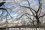032-IMG_9312.jpg