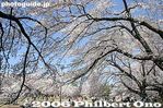 033-IMG_9317.jpg