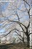 034-IMG_9315.jpg